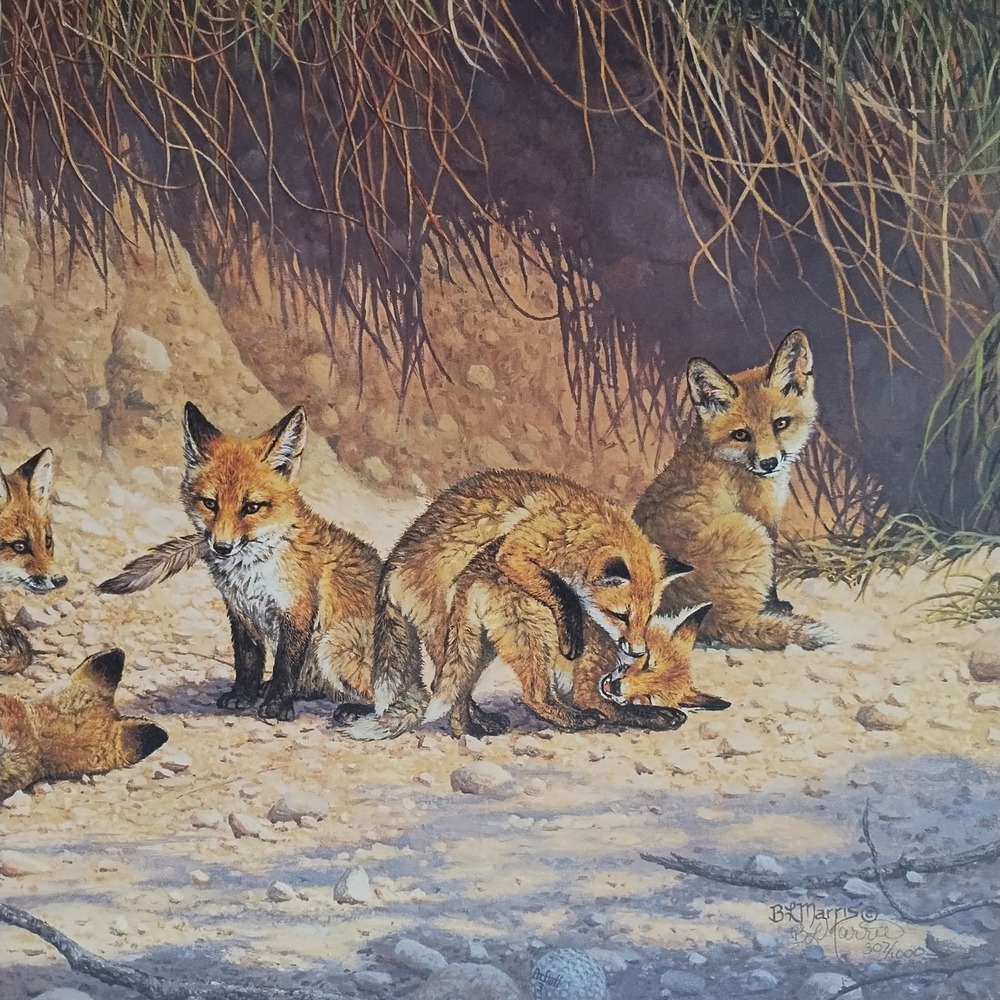 Bonnie Marris Spring Fever Red Fox Family Signed Numbered Lithograph #307/1000 - Picture 6 of 14